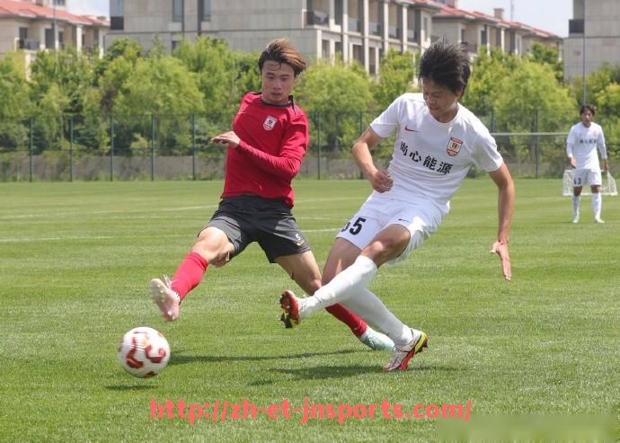 JN江南体育-2025年世俱杯球员语言分布情况统计及翻译配备情况